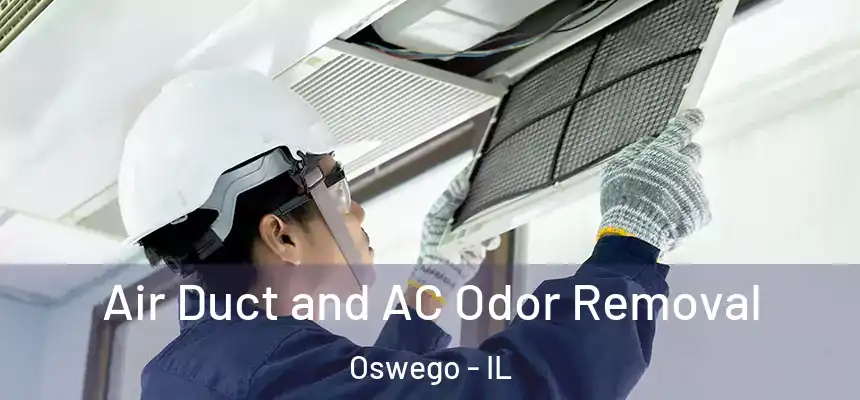 Air Duct and AC Odor Removal Oswego - IL