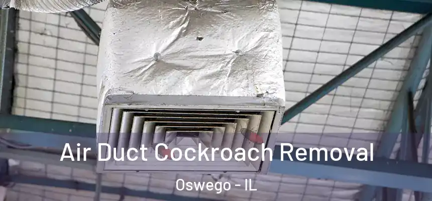 Air Duct Cockroach Removal Oswego - IL