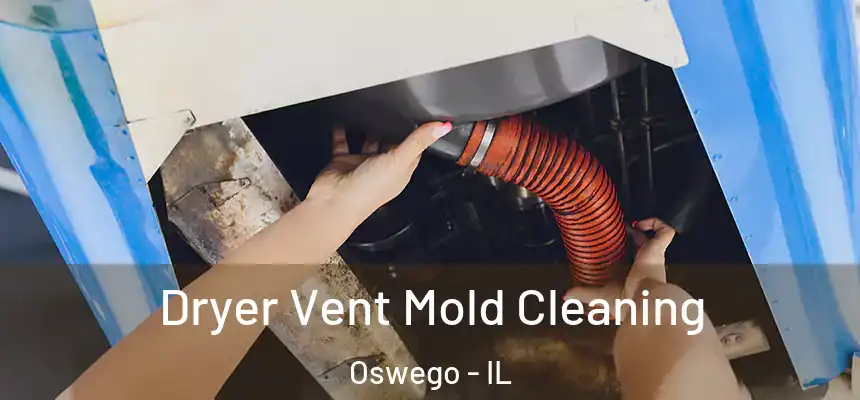  Dryer Vent Mold Cleaning Oswego - IL