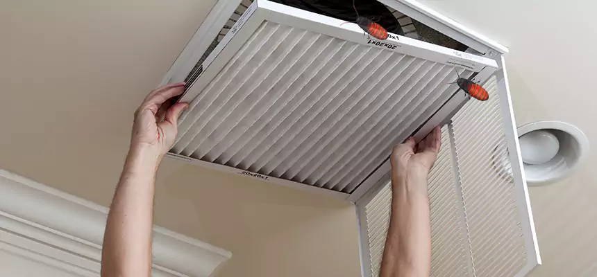 Preventive Cockroach-Proofing for Ducts in Oswego