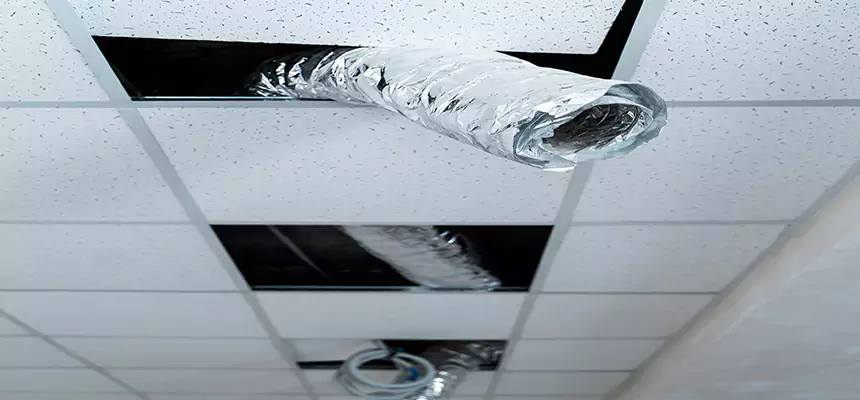 Our Air Duct Pet Hair Removal Services in Oswego, IL