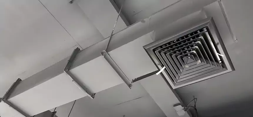 Our Rodent Droppings In Vents Services in Oswego, IL