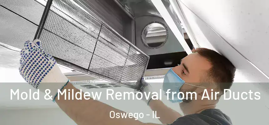 Mold & Mildew Removal from Air Ducts Oswego - IL