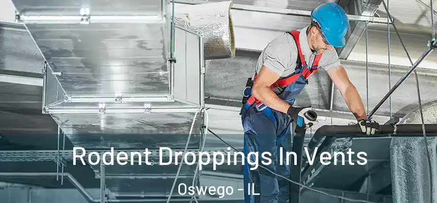 Rodent Droppings In Vents Oswego - IL