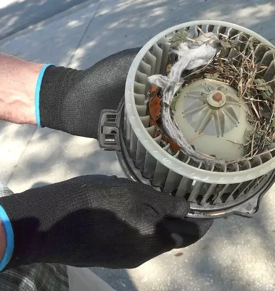 About Air Duct Mice Removal in Oswego, IL