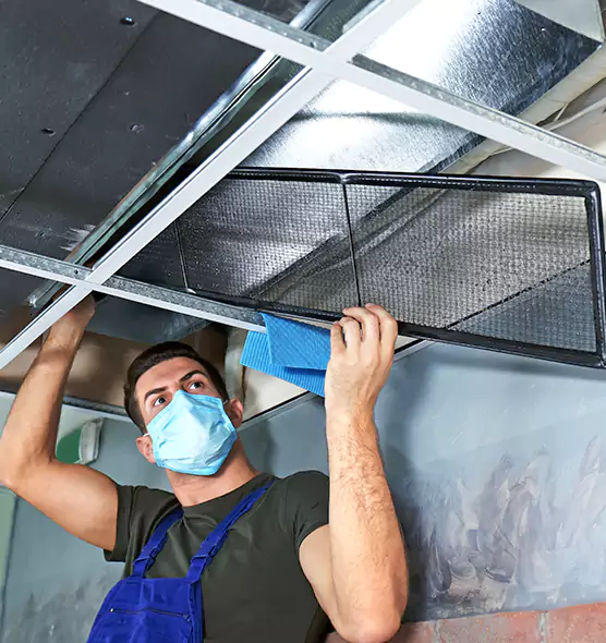 Professional Air Duct Pollen Cleaning in Oswego, IL