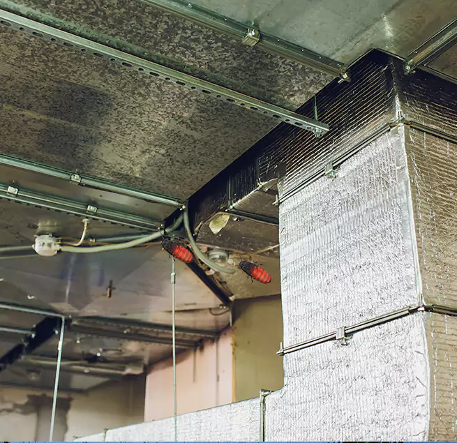 Why Homeowners & Businesses Trust Us in Oswego, IL?