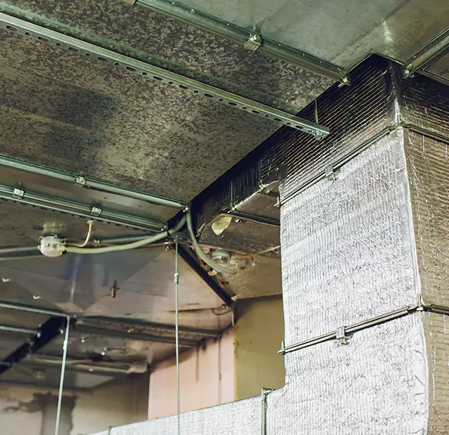 Why Homeowners & Businesses Trust Us in Oswego, IL?